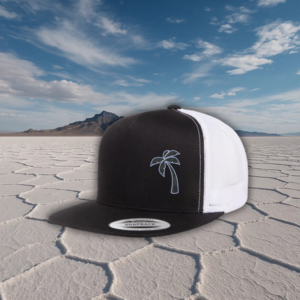 Hat - Snapback